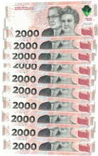Load image into Gallery viewer, Argentina 10x 2000 Pesos 2023 UNC
