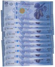Load image into Gallery viewer, Middle East 10x 25 New Pounds 2025 (2026) UNC
