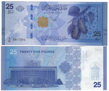 Load image into Gallery viewer, Middle East 10x 25 New Pounds 2025 (2026) UNC
