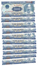 Load image into Gallery viewer, Vietnam 10x 5000 Dong 1991 UNC

