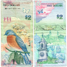 Load image into Gallery viewer, Bermuda 2 Dollars 2009 F/VF (Onion)
