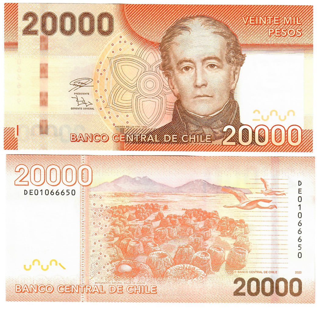 Chile 20000 Pesos 2020 UNC
