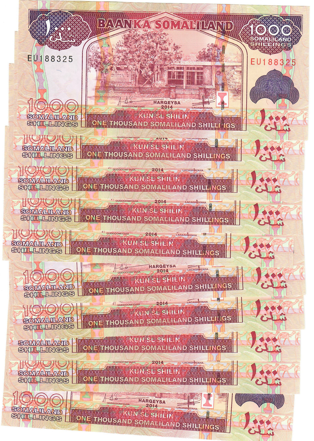 Somaliland 10x 1000 Shillings 2014 UNC